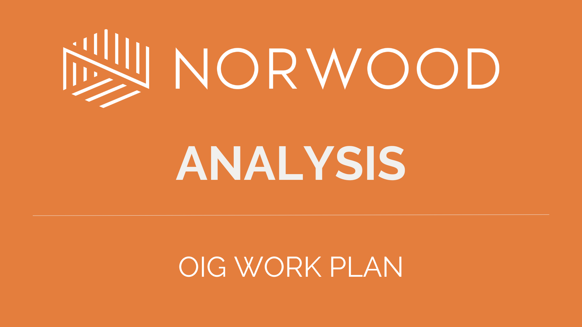 oig work plan