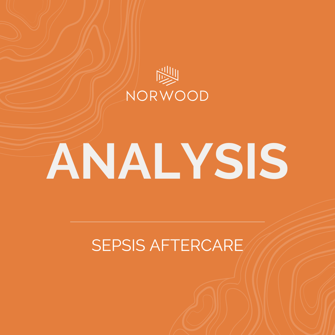 Norwood - Article Banners (3)